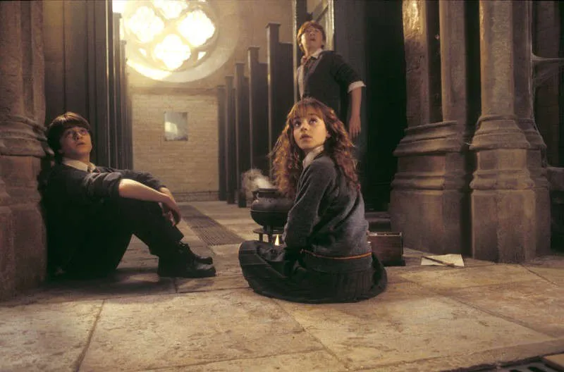 Stasera su Italia Uno Harry Potter E La Camera Dei Segreti, continua il ricordo di Alan Rickman…