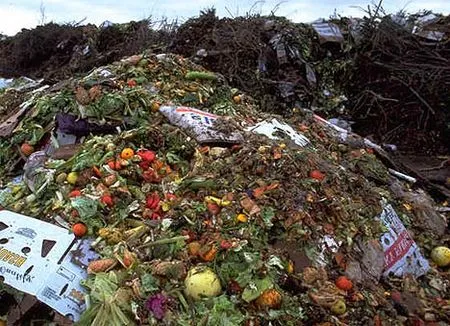 Spreco Alimentare: Proposta di Legge alla Camera, più Facile Donare Cibi Scaduti