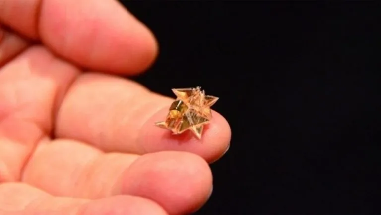 Robot origami per combattere obesità (VIDEO)