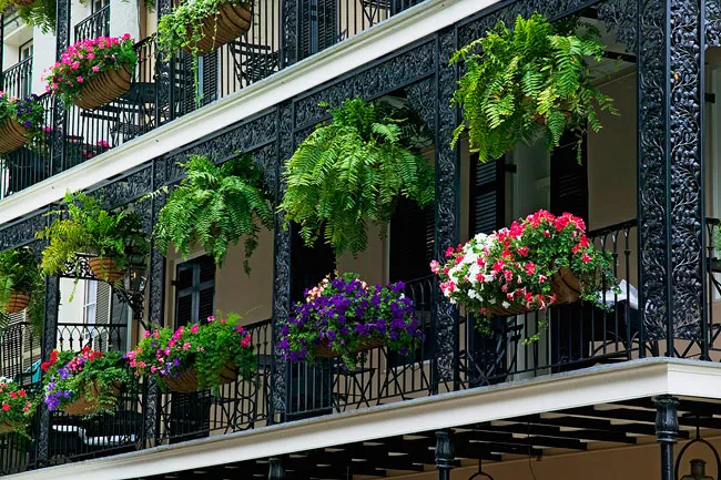 Estate in arrivo: come irrigare le piante sul balcone
