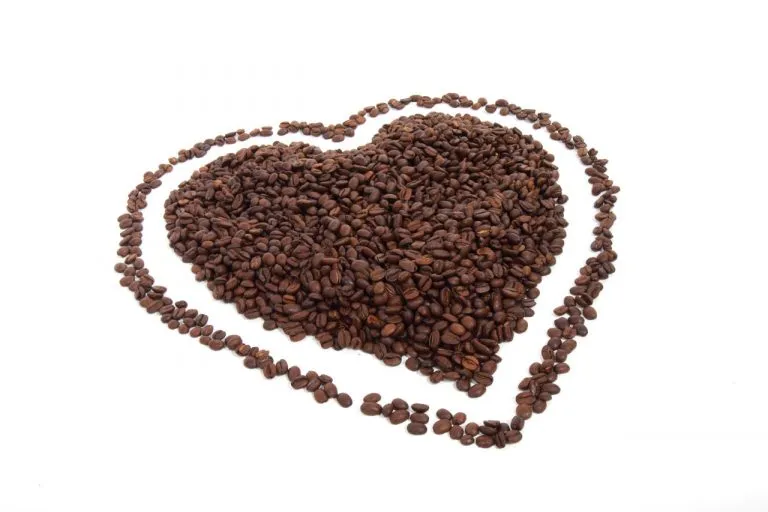 Il caffè è un toccasana per il cuore e riduce il rischio tumori
