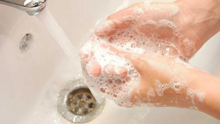 Lavarsi le mani: perché è importante farlo prima di toccare i cibi