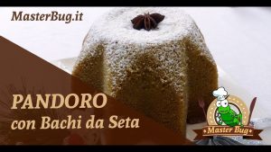 Pandoro Natale insetti MasterBug