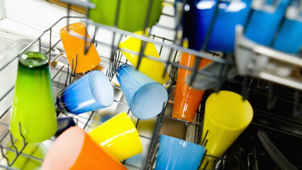 Lavastoviglie piene di batteri e funghi: possiamo ammalarci?