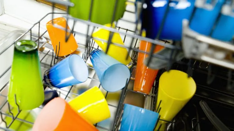 Lavastoviglie piene di batteri e funghi: possiamo ammalarci?