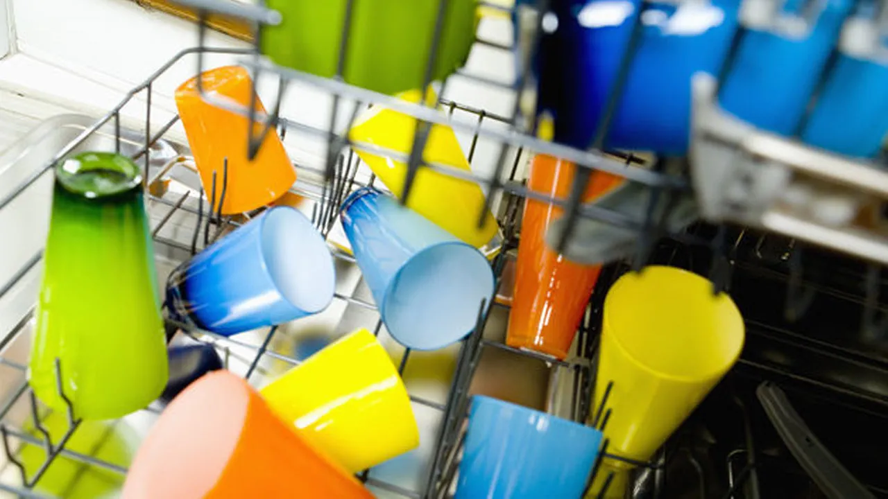 Lavastoviglie piene di batteri e funghi: possiamo ammalarci?