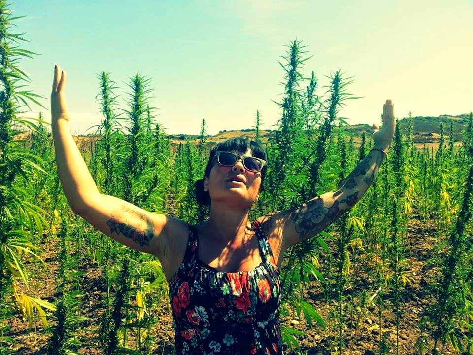 Cannabis legale, raccolta firma per referendum in Sardegna