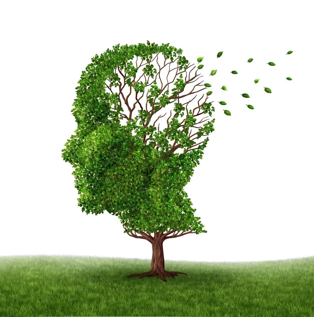 Ansia segnale dell’Alzheimer: accumulo di placche beta amiloidi