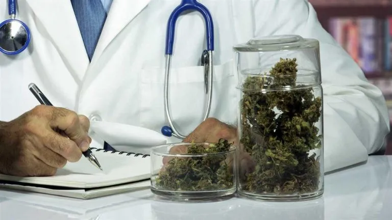 Cannabis valida per curare la cefalea: certezza del professor Pini