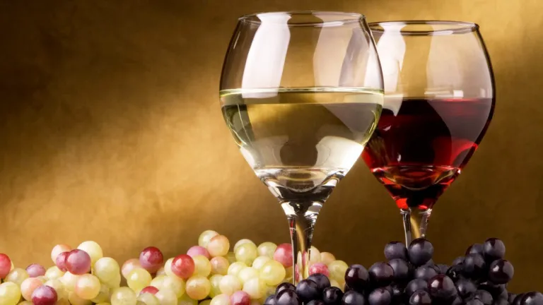 Vino fa bene ai denti e alle gengive: rischio minore di carie