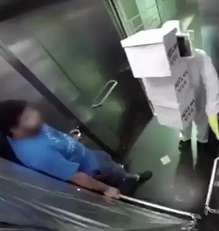 Scherzo virale: un milione di api vive seminano il panico in ascensore (video)