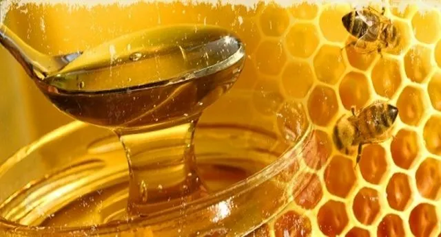 Api e miele in salvo: scoperta la cura contro i virus dannosi
