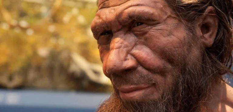 Denti fossili di Neanderthal, reperto di 450 mila anni fa trovato a Trieste