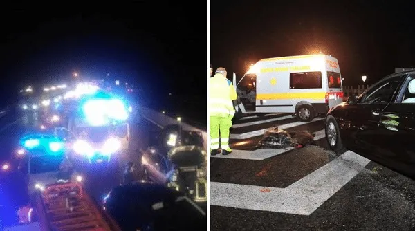 Incidente A1: cinghiali attraversano le carreggiate, un morto e 10 feriti