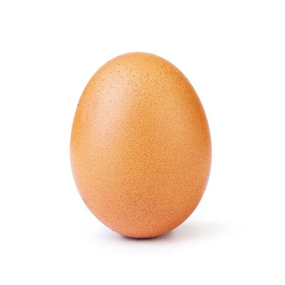 Fenomeno in rete: “world_record_egg”, l’uovo da milioni like