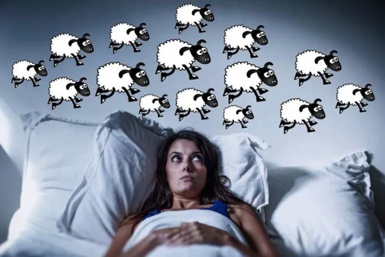 Insonnia, 8 piante per la camera da letto: curano ansia e stress