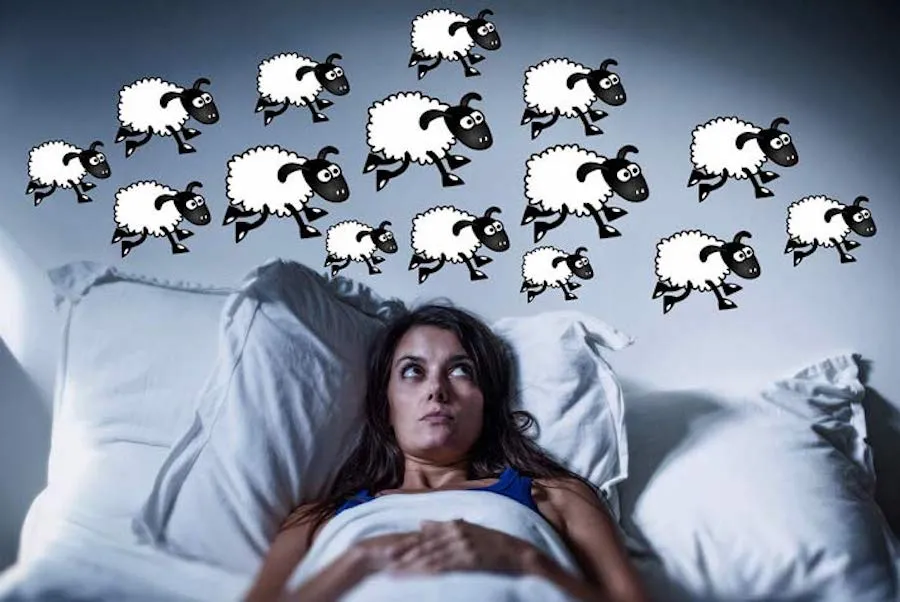 Insonnia, 8 piante per la camera da letto: curano ansia e stress