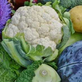 Cavolfiore: quando piantarlo, il terreno ideale e tutto quello che c’è da sapere